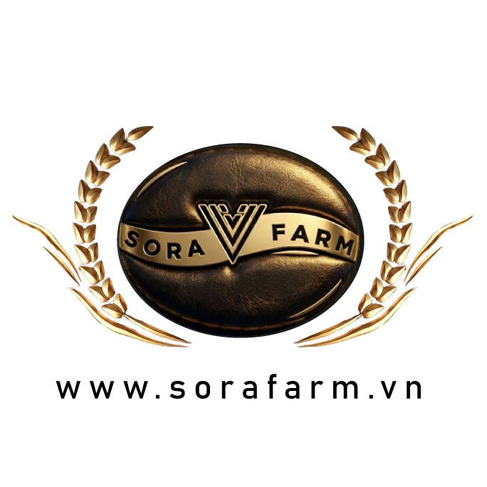 Nông sản sạch và Cà phê nguyên chất